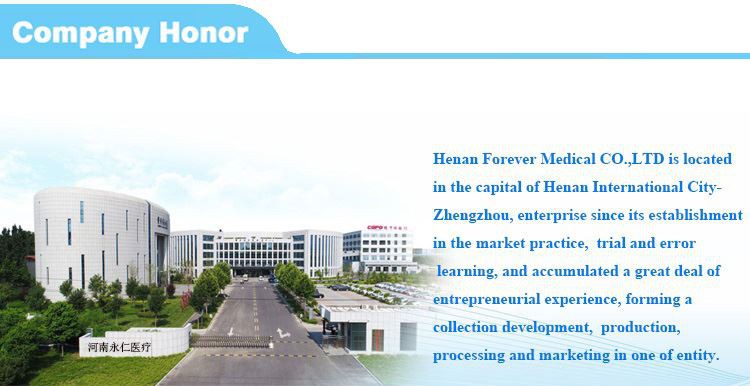 Company-Introduction