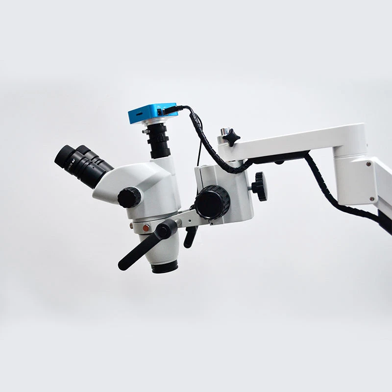 Dental Operating Microscope In Endodontics