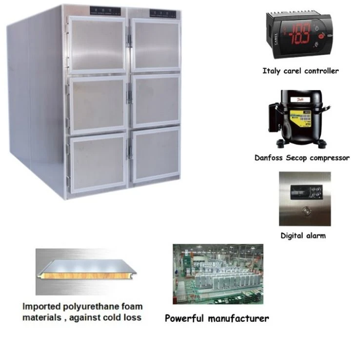 Bodies Hospital Mortuary Coolers